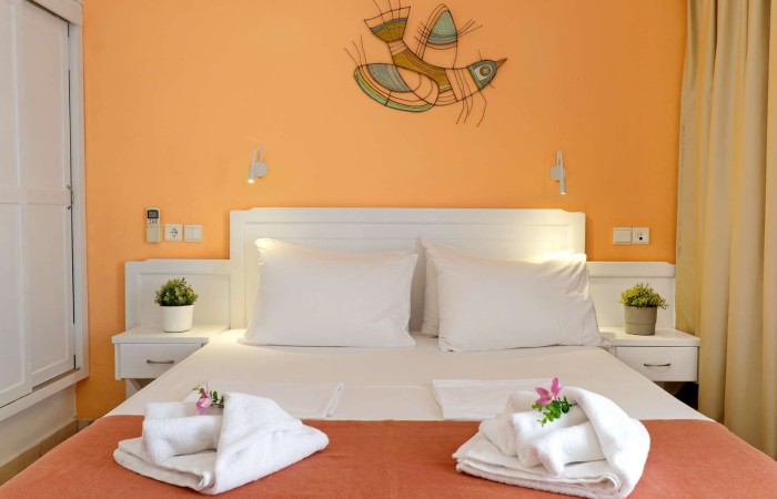 korali_junior_suites_09